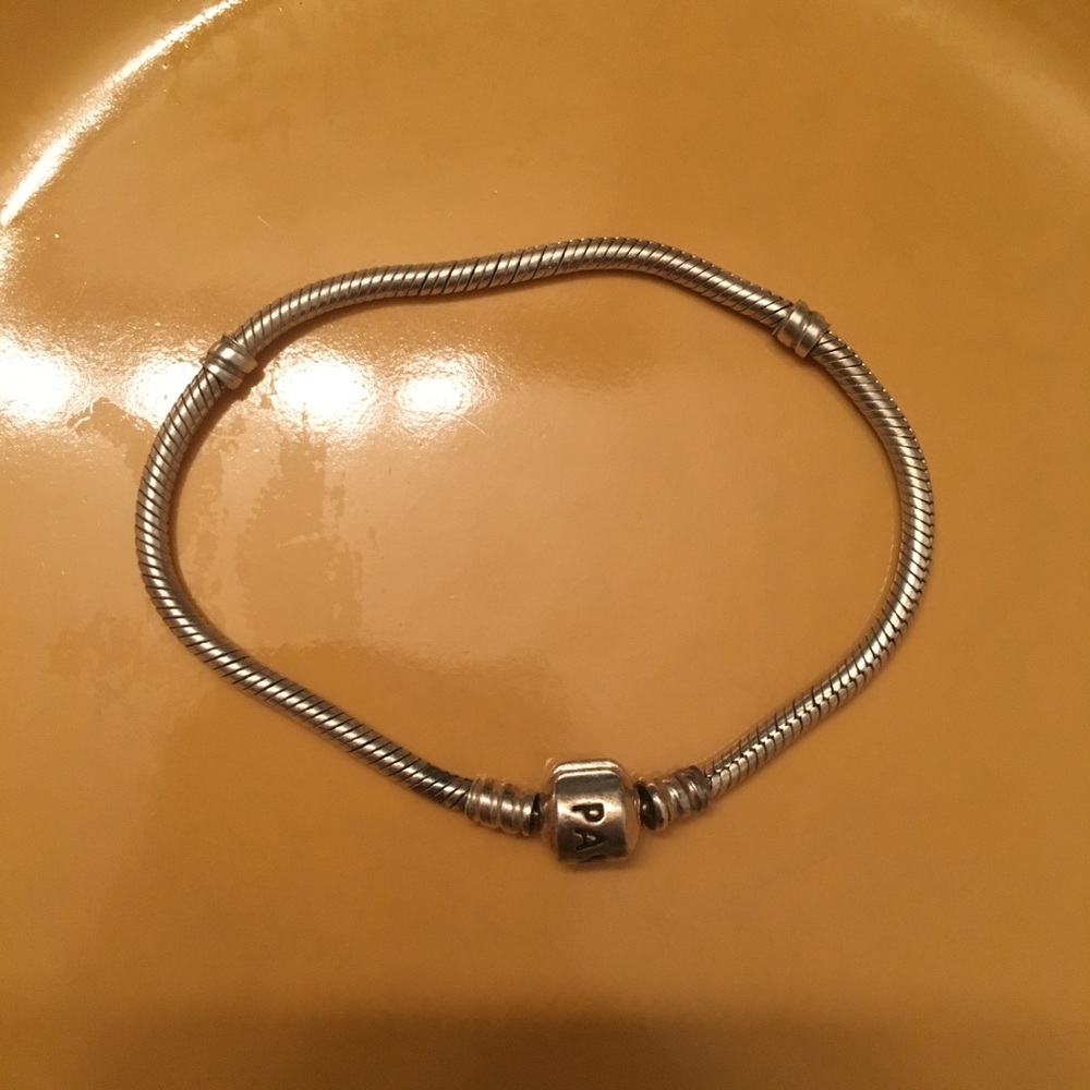 Pandora charm bracelet